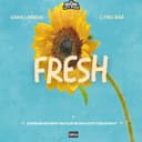 Fresh